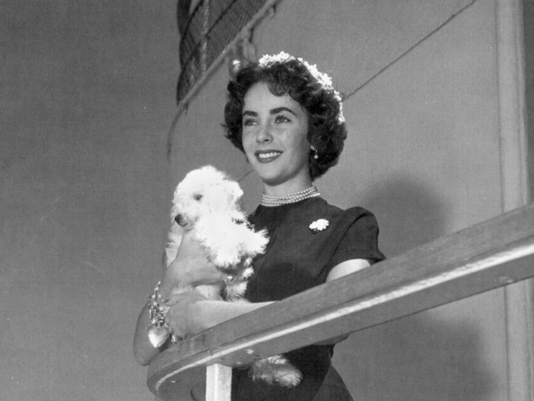 Fotografías vintage que muestran el glamour de los antiguos cruceros