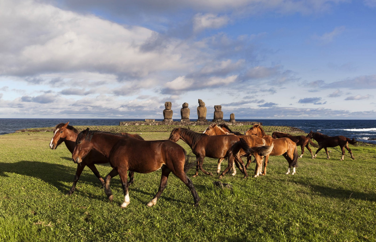 16 razones para pasar unas vacaciones en la isla de Pascua
