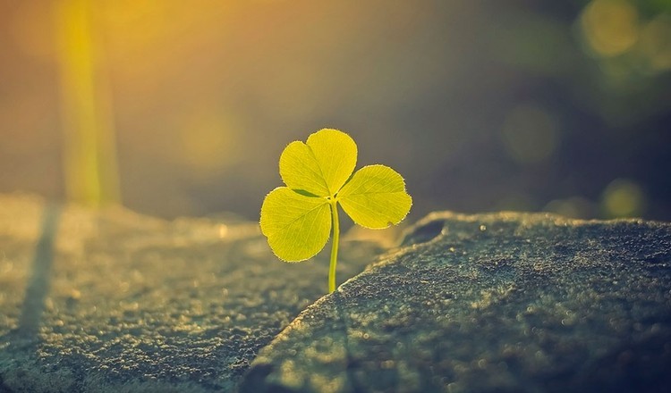 Las 12 cosas sobre economía que todo el mundo debería saber