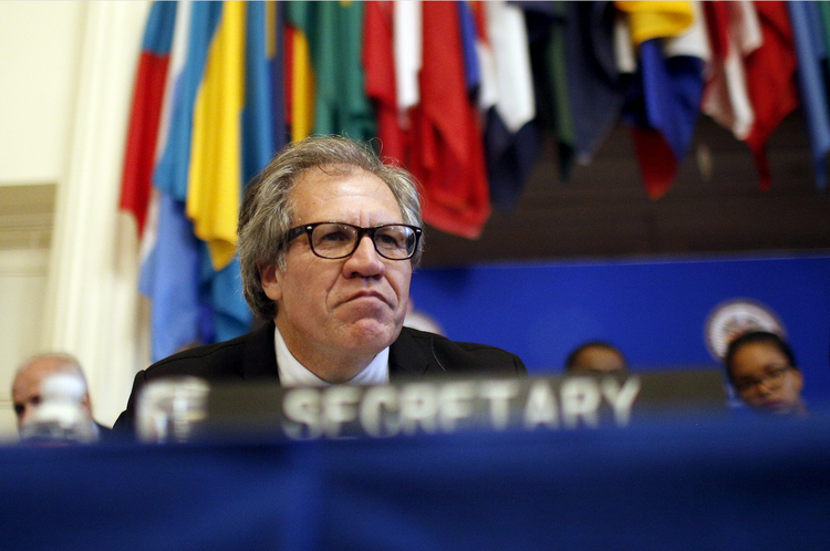 Donald Trump svela finalmente la sua dichiarazione dei redditi