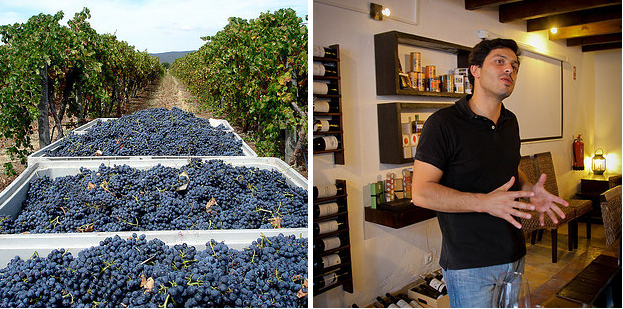 19 Razões para os apreciadores de vinhos visitarem Portugal
