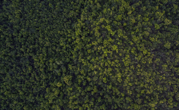 La CIA desclasifica más de 12 millones de documentos sobre sus actividades