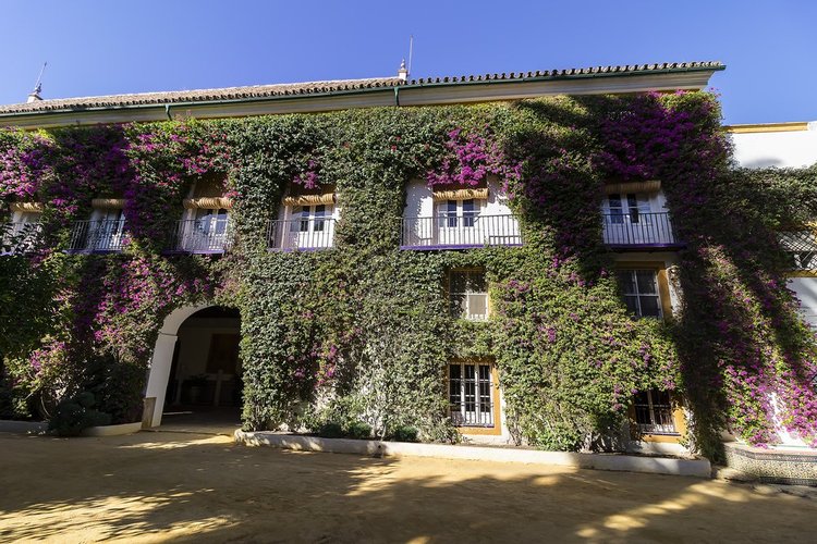 لماذا إشبيلية أفضل مدينة للرحلات في عام 2018