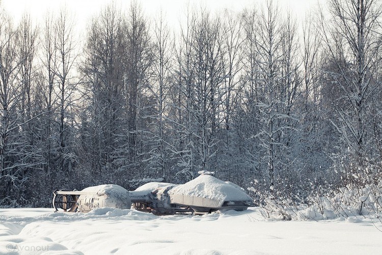 Star Wars sulla Terra