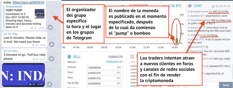Cómo proteger sus criptomonedas de los fraudes pump and dump