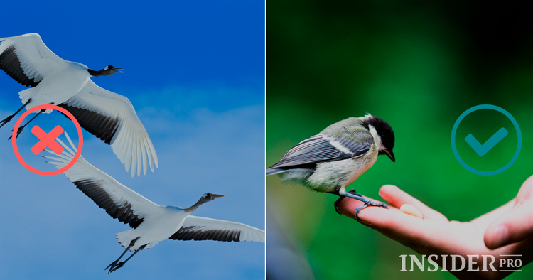 IPO or ICO: Investor’s Choice