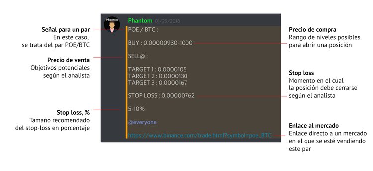 Todo lo que necesita saber sobre la previsión de los precios de las criptomonedas