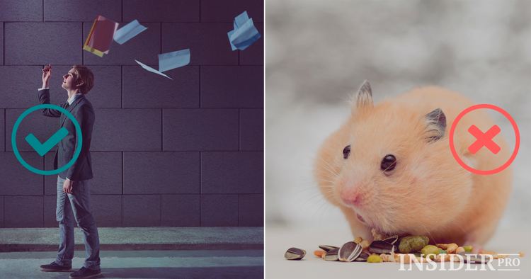 O que o impede de ser um bom trader?