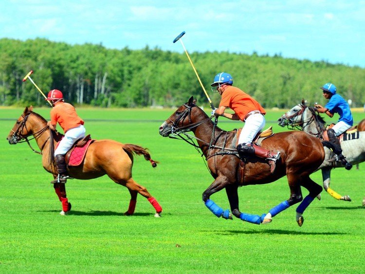 11 hábitos de los ricos