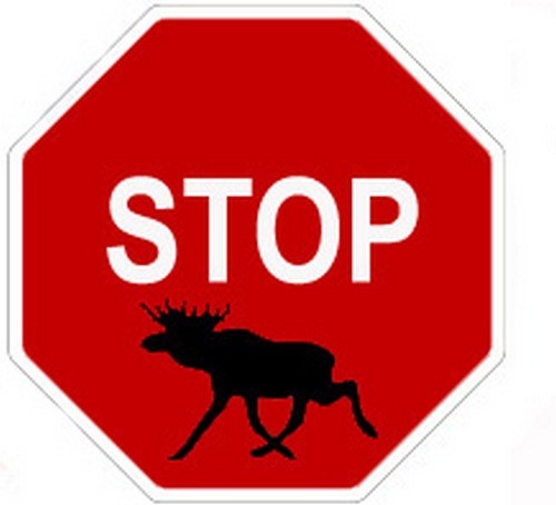 Teoria das cotações imprevisíveis