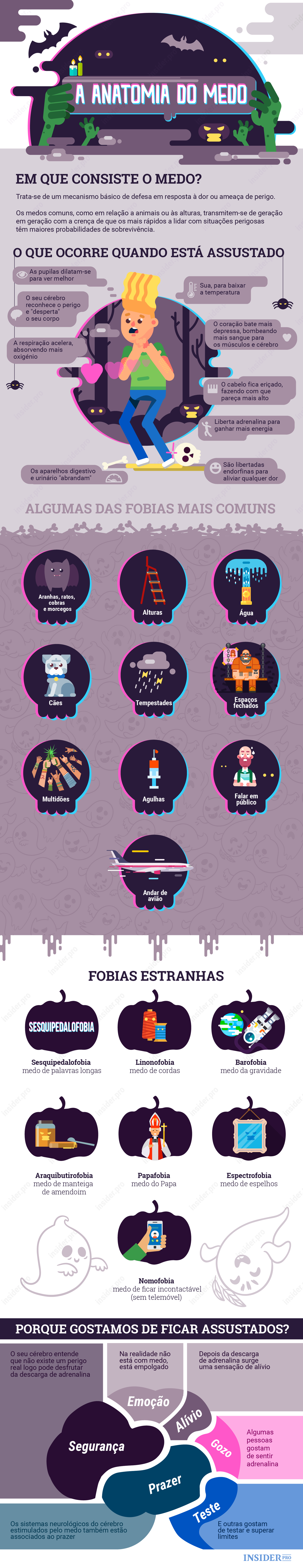 Infografia: A anatomia do medo