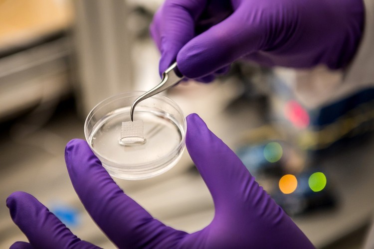 O bizarro mundo das partes do corpo feitas por impressão 3D