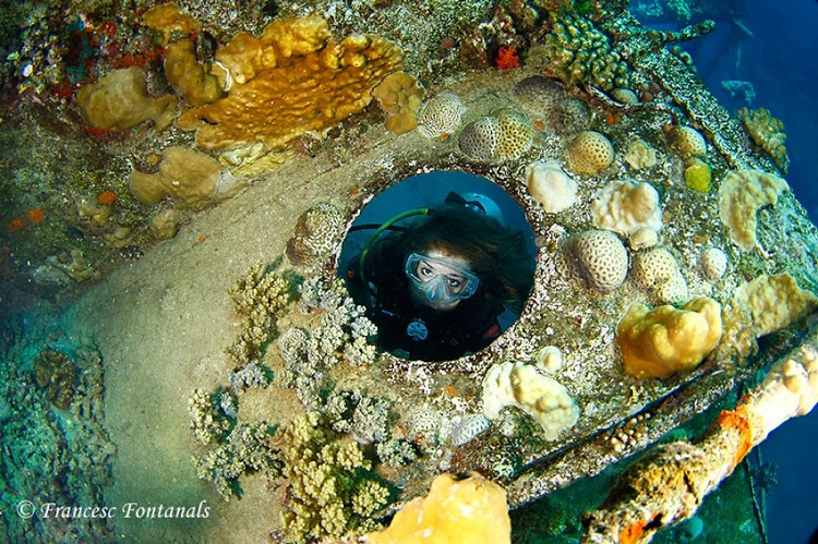 Segredos do fundo do mar