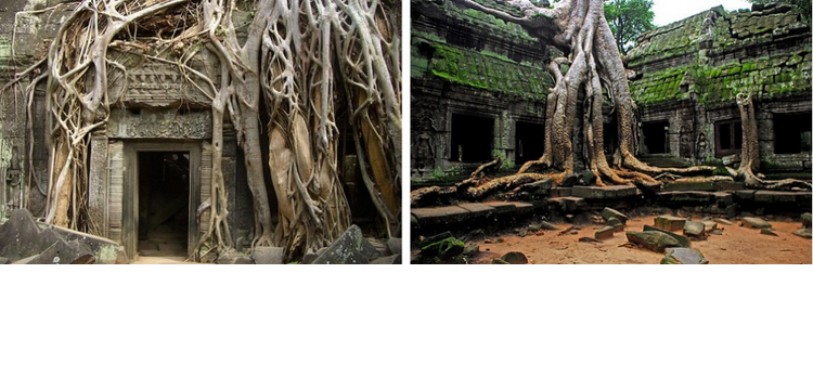 26 Lugares que parecem ser de um conto de fadas