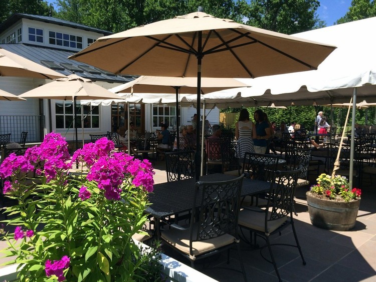 حياة دونالد ترامب الذهبية