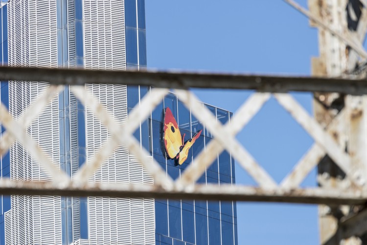 Opciones: Guía para principiantes