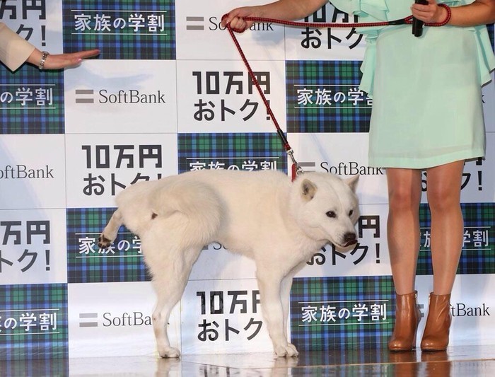 فقاعات الإنترنت من ضرب الخيال 