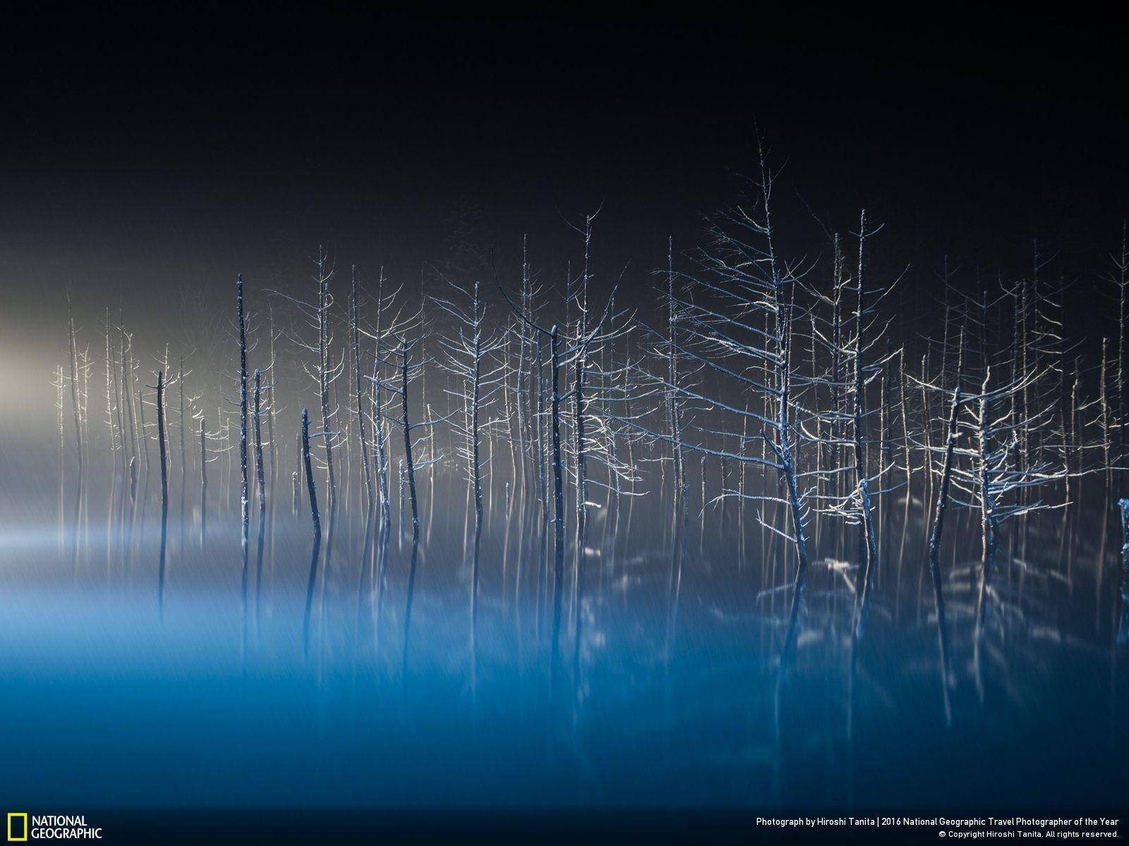 47 fotos impresionantes del concurso de fotografía Fotógrafo de Viajes de National Geographic