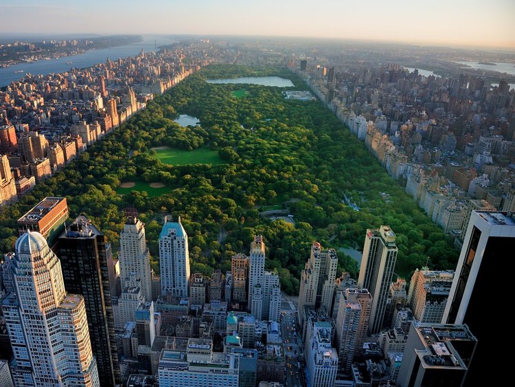 Jeff Bezos: La historia de una de las personas más ricas del mundo