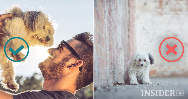 7 cose da fare nella vostra città natale durante le vacanze