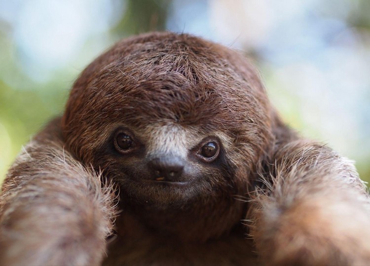 As 25 melhores fotos da National Geographic de 2015