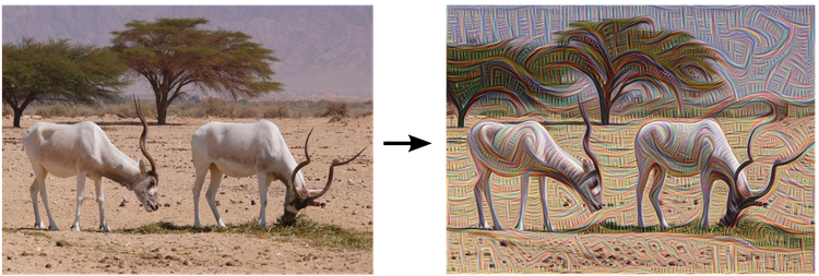 غوغل تعلمت رسم اللوحات