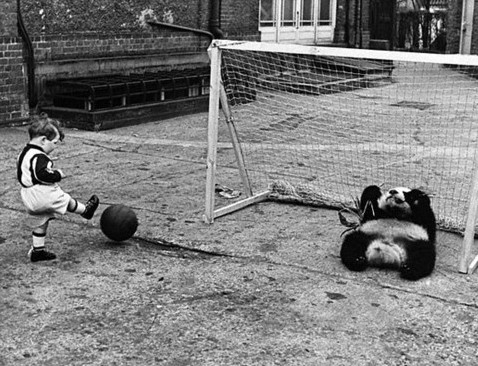 As 50 fotos a preto e branco mais difíceis de explicar