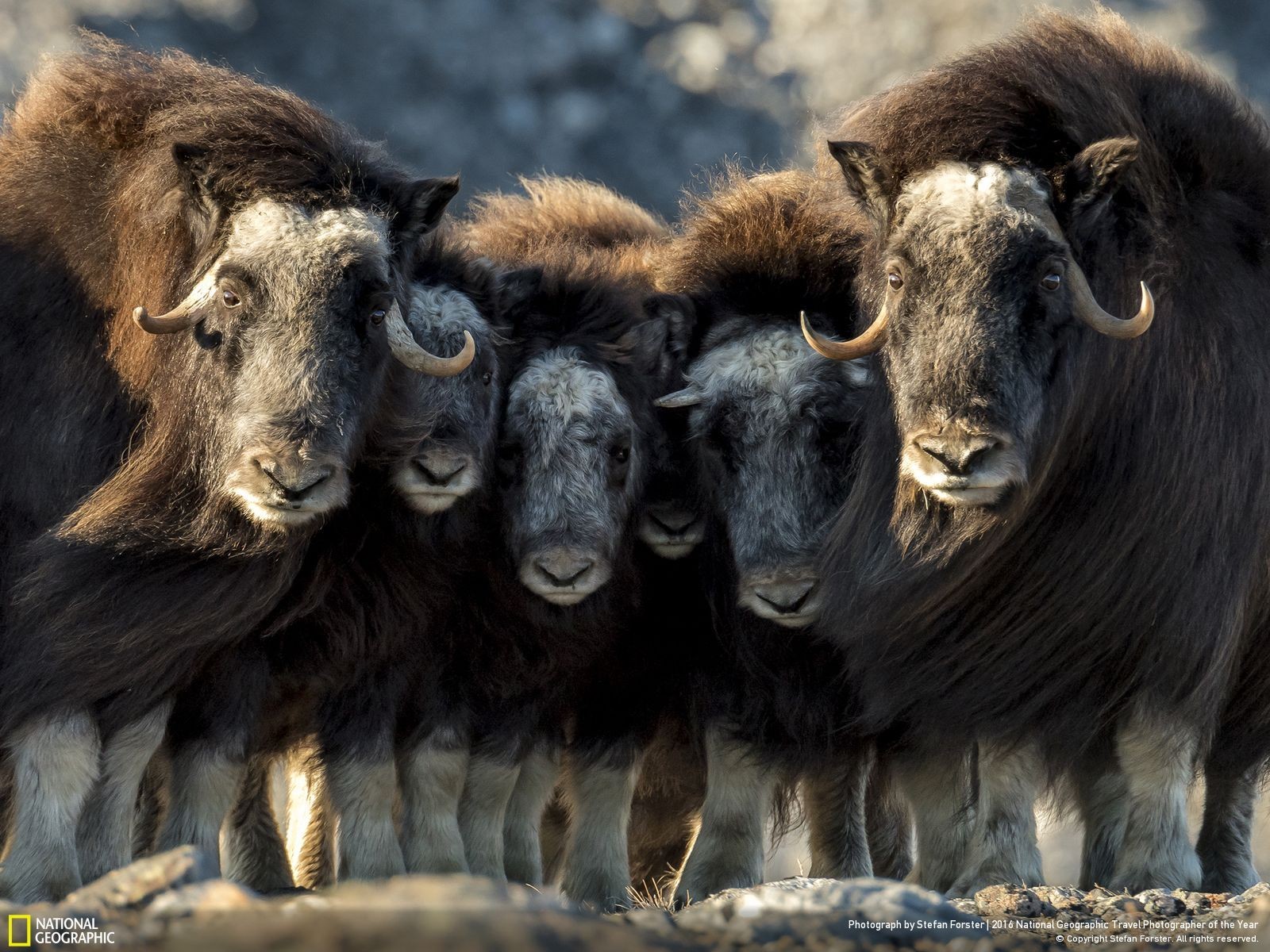 47 fotos impresionantes del concurso de fotografía Fotógrafo de Viajes de National Geographic