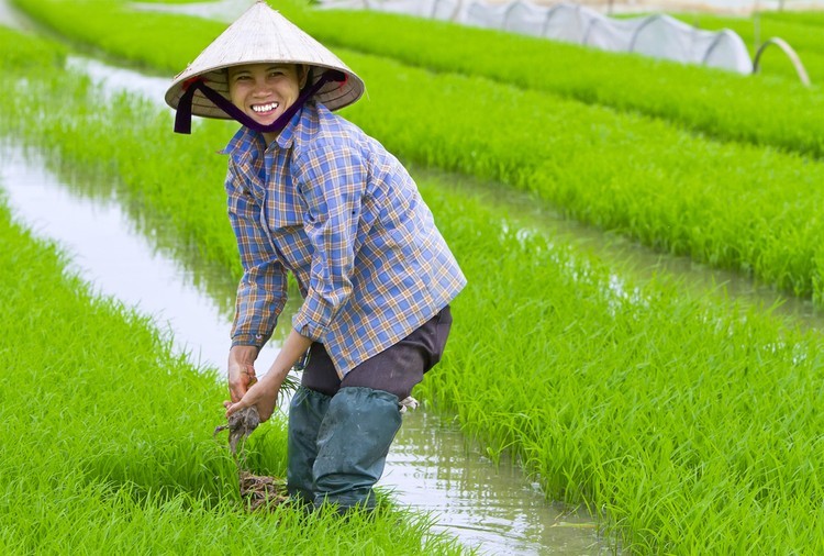 "نمر اقتصادي" جديد في آسيا