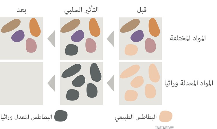 نسيم طالب عن الأغذية المحورة وراثيا