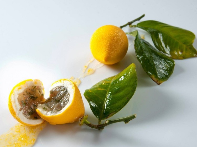 Os 20 menus de degustação mais caros do mundo