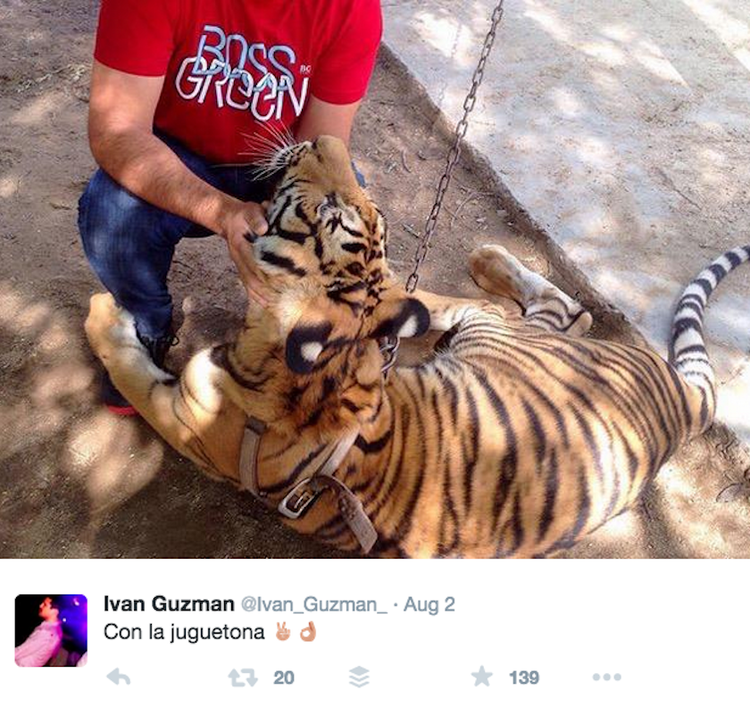 Os filhos de “El Chapo” ostentam riqueza nas redes sociais