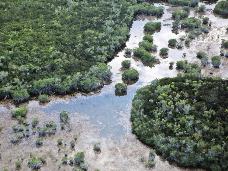 25 maravillas de la naturaleza en peligro de extinción
