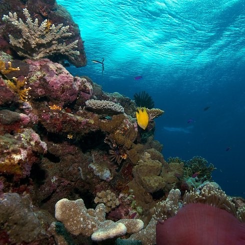 11 Lugares que você tem que visitar antes que desapareçam