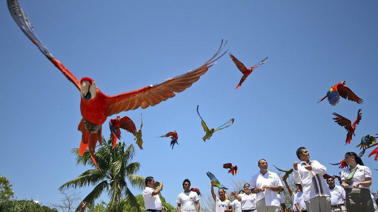 Os 10 melhores locais para desfrutar da reforma