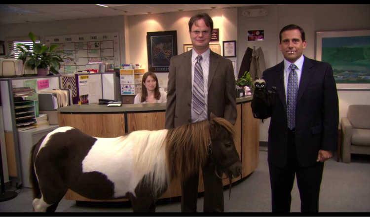 Gonzo Crypto Blog - Week Seven