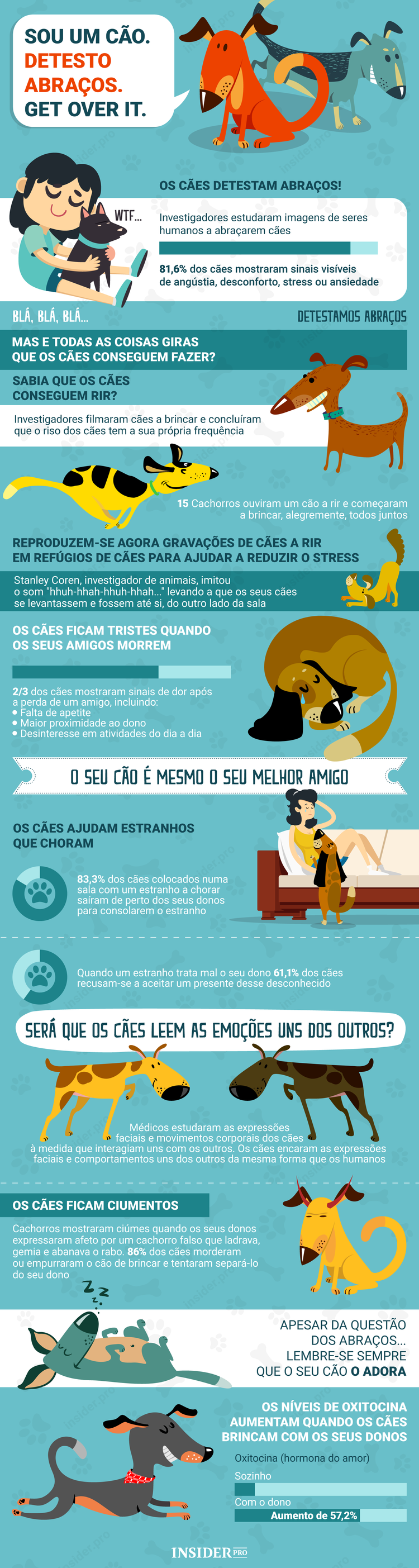 Infografia: os cães detestam abraços