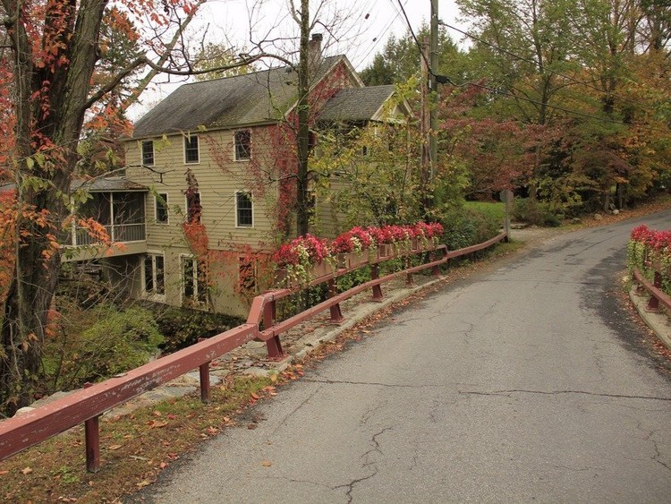 الحياة المذهلة لمايكل بلومبيرغ