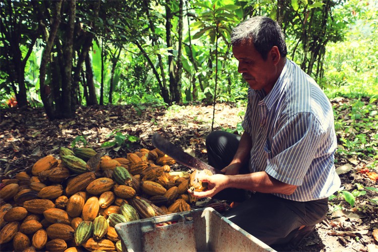 لوح شوكولا ب 260$