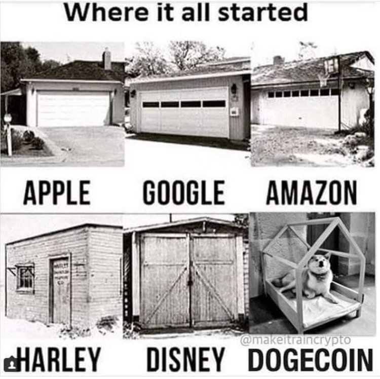 Dogecoin Twice Outperformed Bitcoin Cash by Transaction Volume