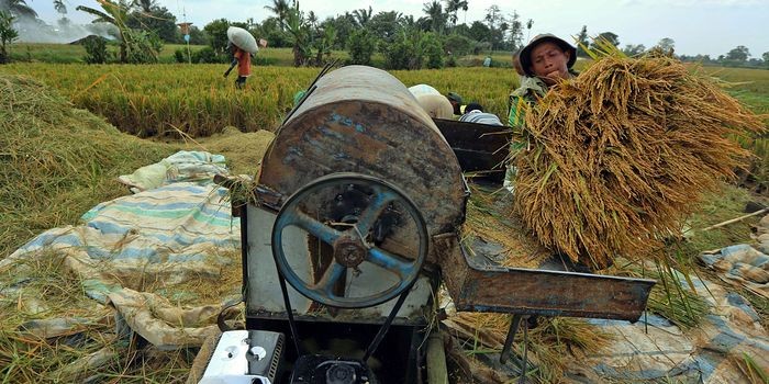 Il figliol prodigo dell'OPEC è in cerca di investitori