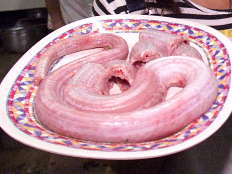 سلطة لموسوليني.. ما الطبق المفضل لدى مستبدي القرن الـ20