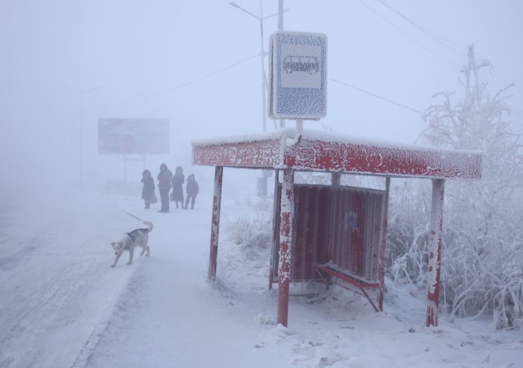 Oymyakon, il villaggio più freddo al mondo