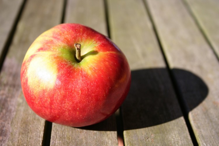 عشرون خرافة عن الصحة