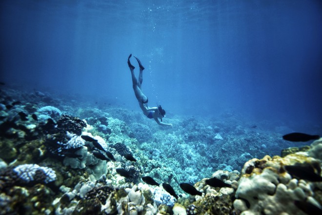 12 ideas para unas vacaciones en 2017