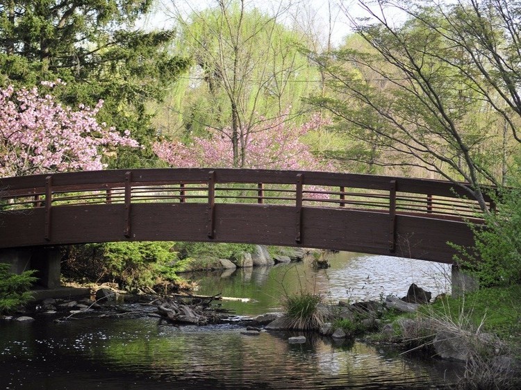 A fabulosa vida de Michael Bloomberg