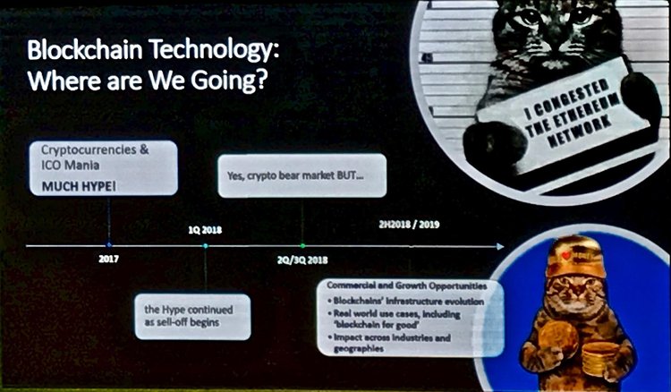 Blockchain Fest, Istanbul - Even Overview