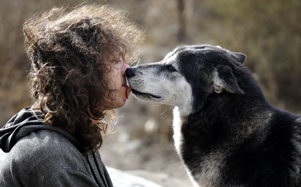 Top Airbnb Experiences Around the Globe