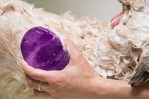 29 objetos que vão fazer as limpezas por si