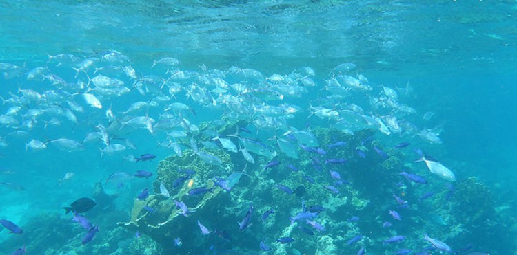 11 Lugares que você tem que visitar antes que desapareçam